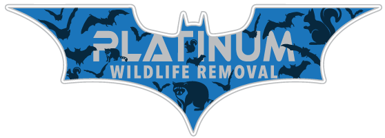 Middleview Wildlife Control